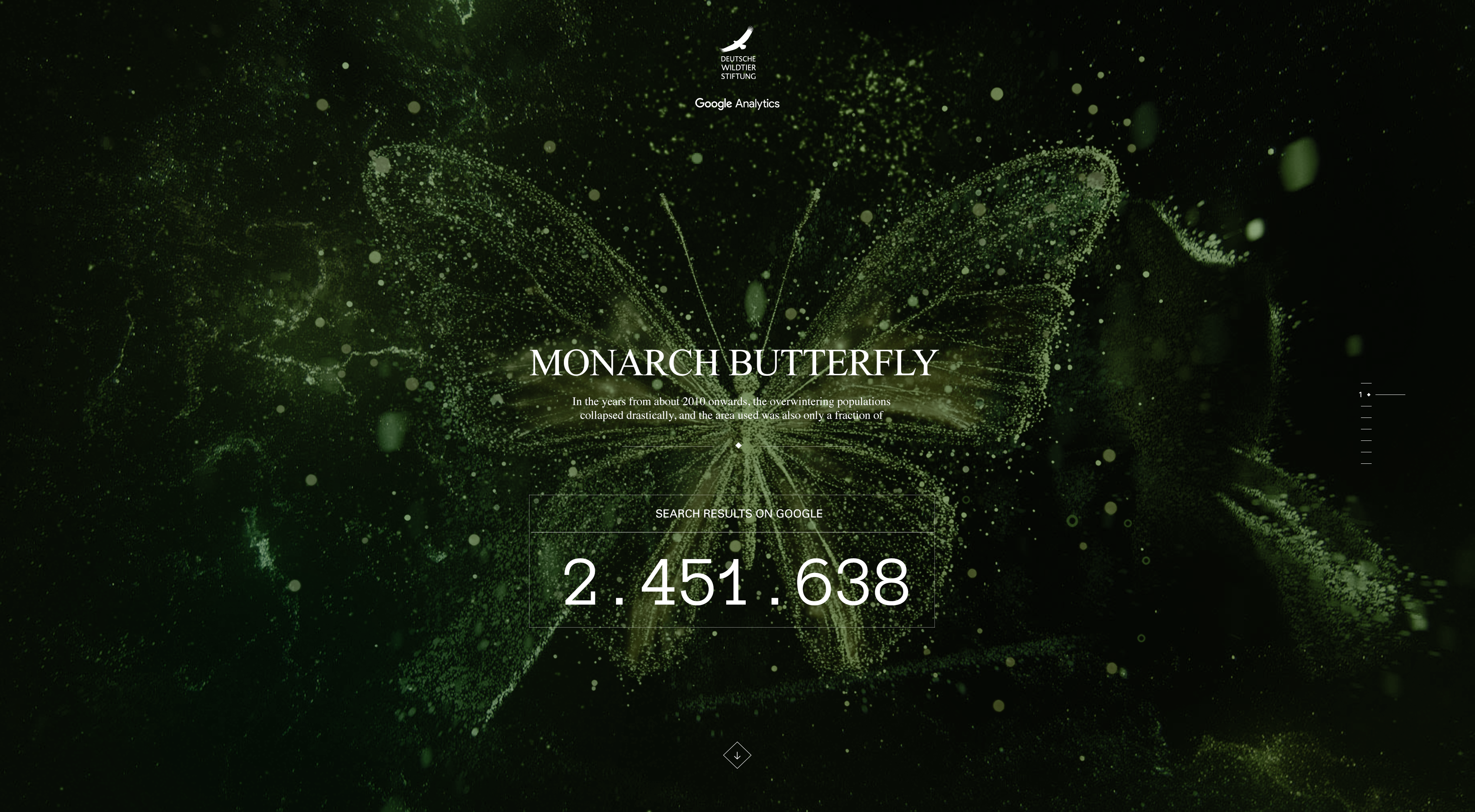 butterfly-1
