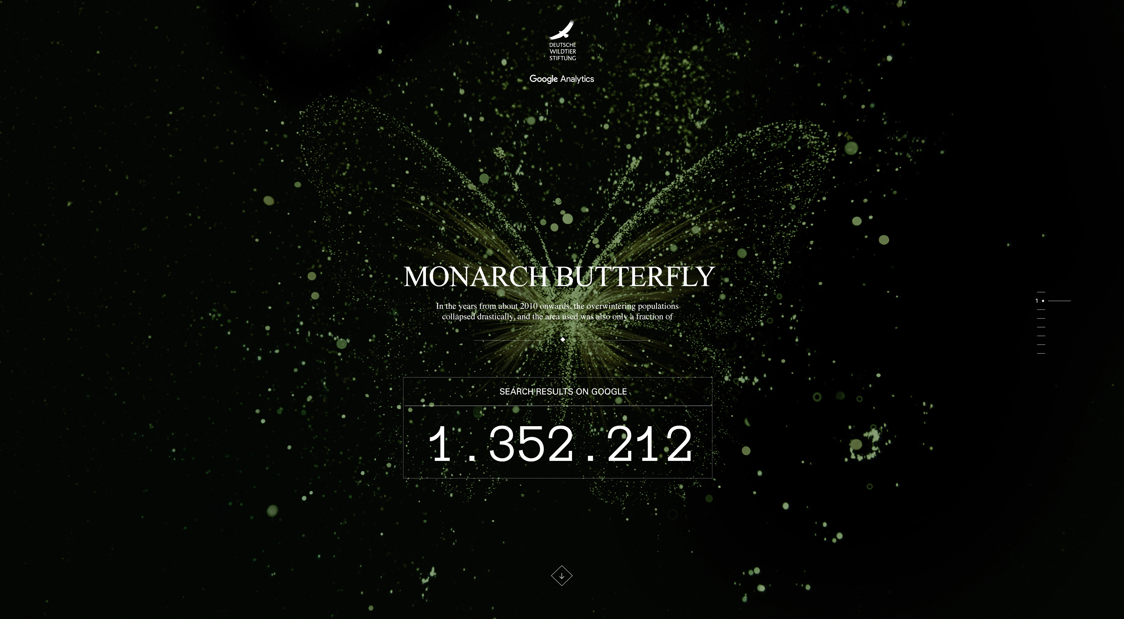 butterfly-2