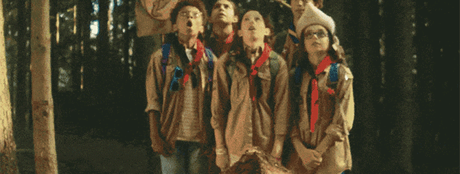 Ameisenhaufen_Banner
