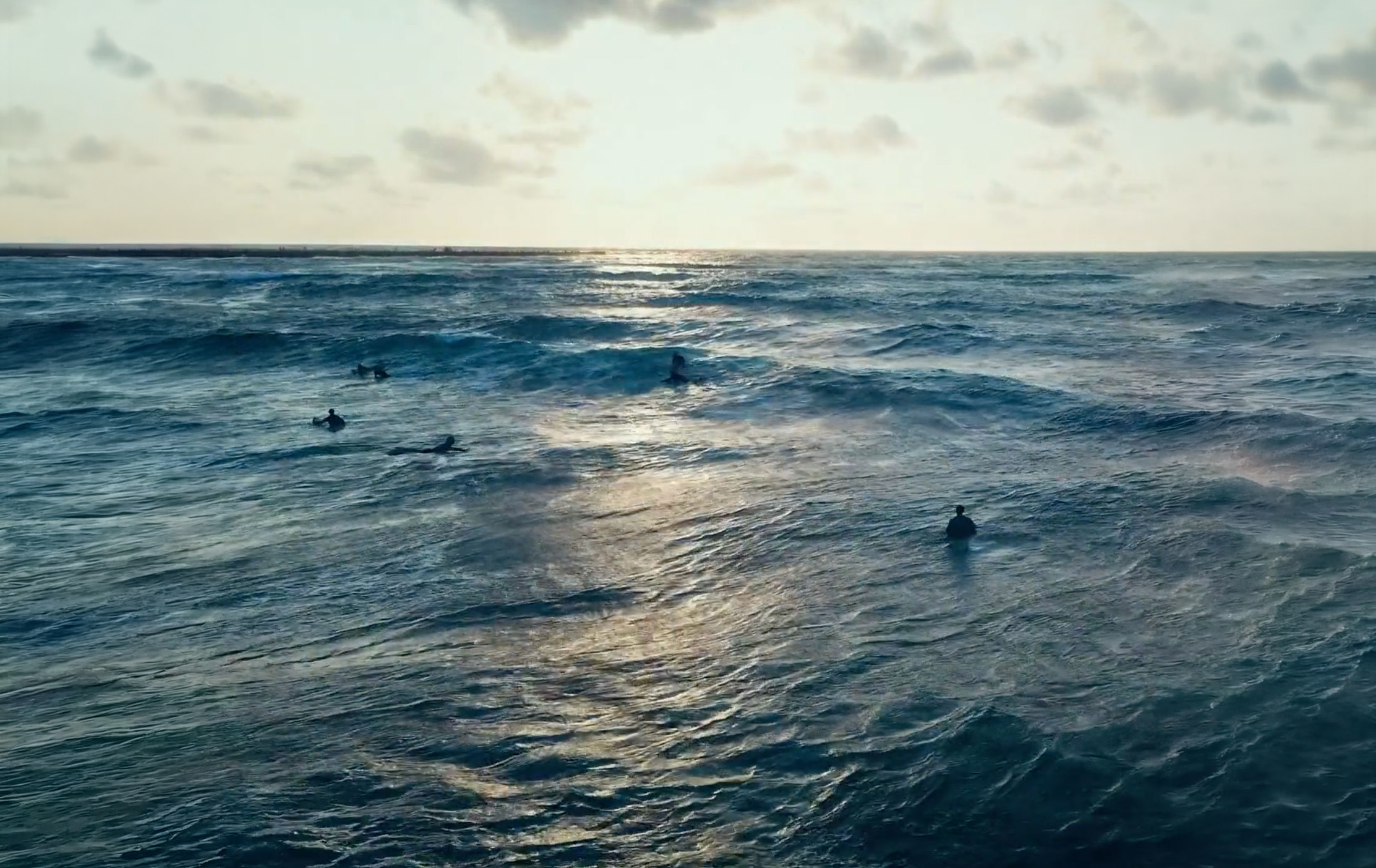 surf