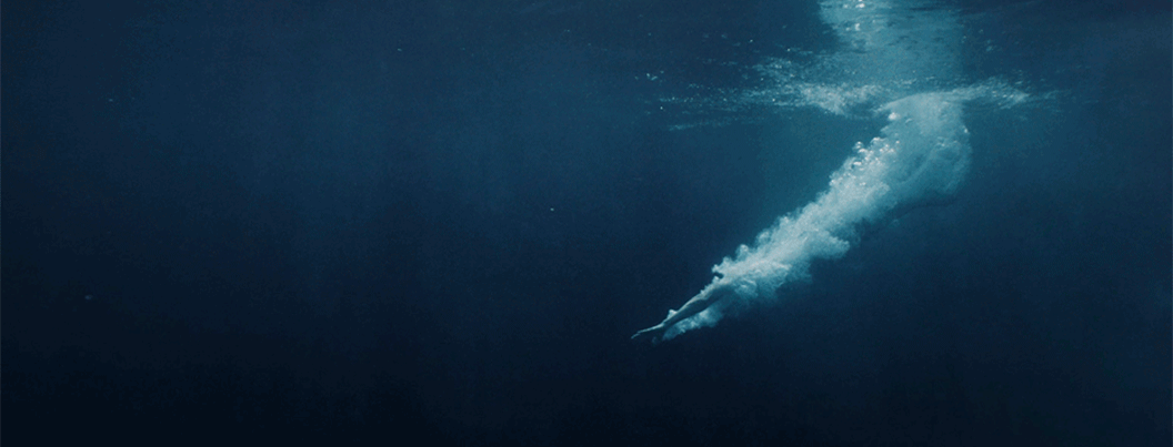 Dive-Header-GIF-Querformat-60Prozent-Loop