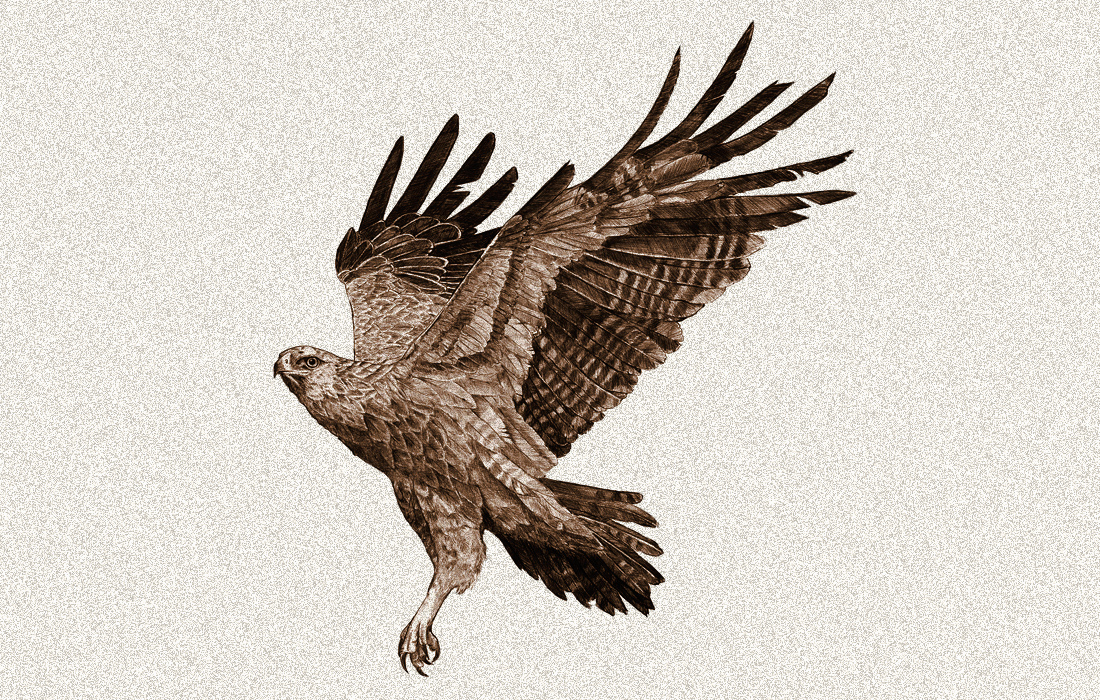 Deutsche Wildtier Stiftung