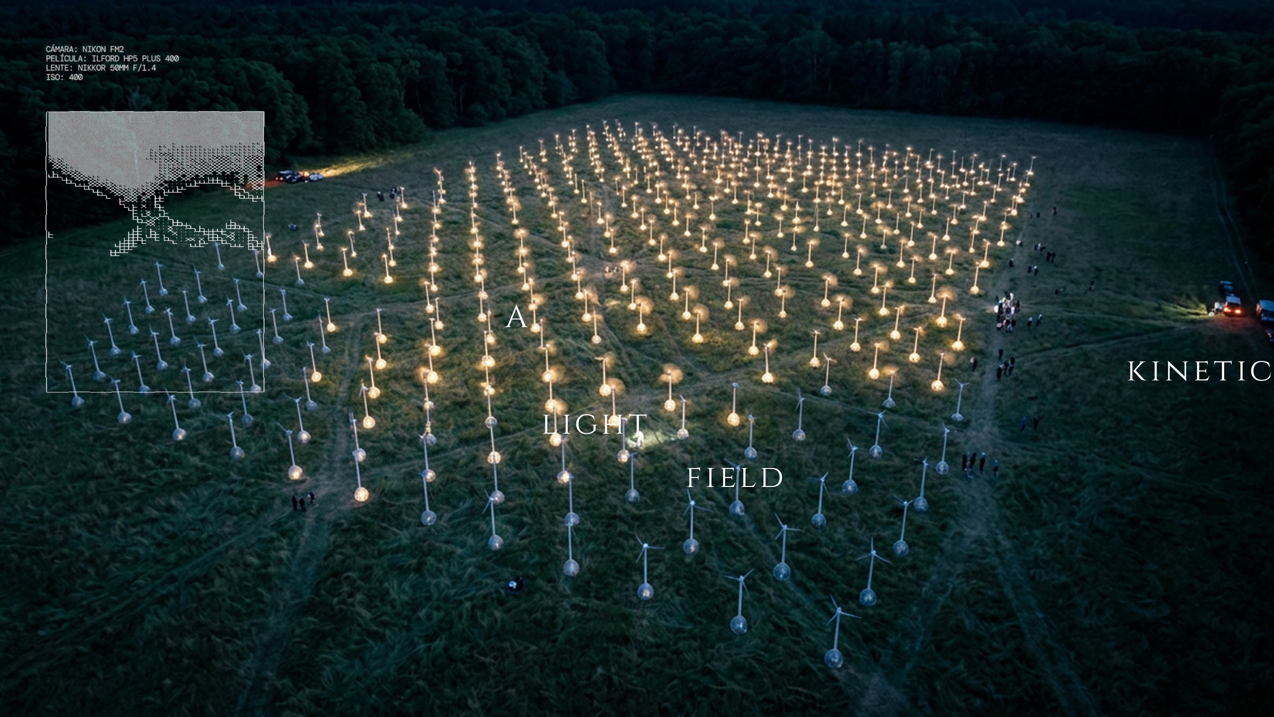 feld-3